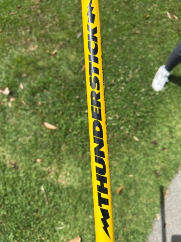 Easton Thunderstick training bat