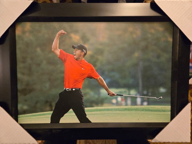 21x16 Framed Textured Print Tiger Woods