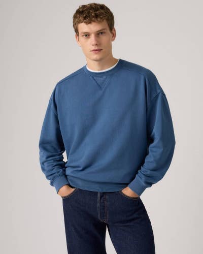 Levi's Delaney Sweatshirt Men's Blue French Terry Crew Neck Relaxed Fit JAX1862