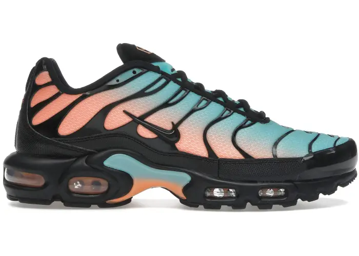 Size 11 - Nike Air Max Plus South Beach DM0032-022
