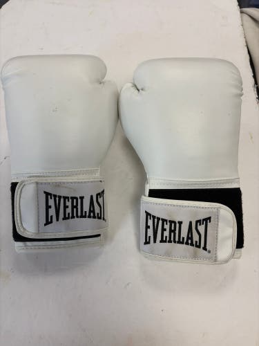 Everlast (Used)