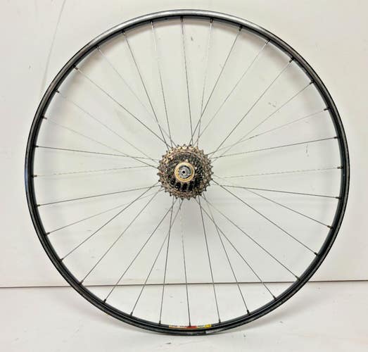FiR EU-90 10-Speed 32-Spoke Black Aluminum 700C Rear Wheel Shimano 600 Tricolor