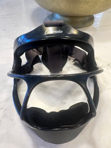 Medium/Large Batting Helmet (Used)