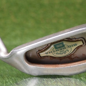 CALLAWAY BIG BERTHA 6 IRON LADIES GEMS WOMENS LADIES FLEX GRAPHITE SHAFT ~ L@@K!