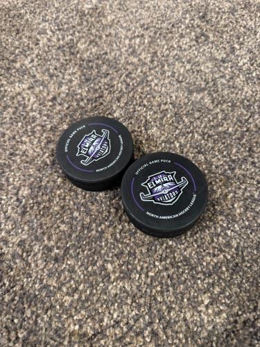 Elmira Aviators NAHL Hockey Pucks (2 Pack)