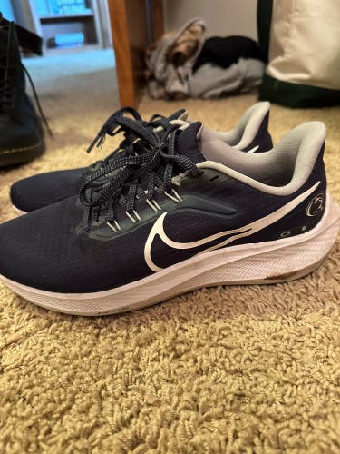 Blue Unisex Size M 7.5 (W 8.5) Adult Nike Pegasus 38 Shoes (Used)