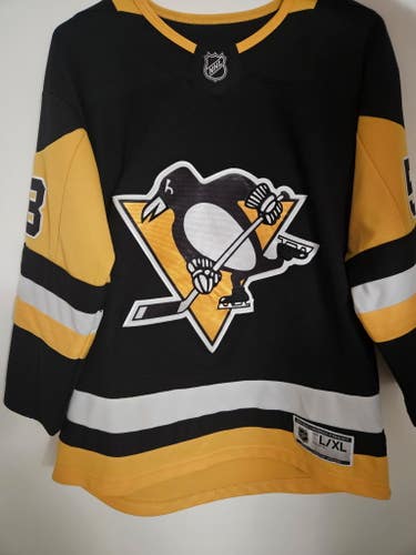 Pittsburgh Penguins Kris Letang Jersey