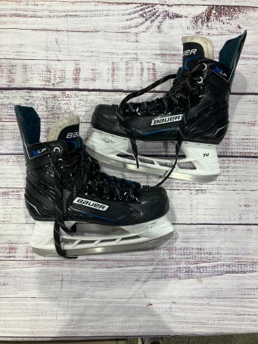 Senior Bauer X-LP Hockey Skates Regular Width 7 (Used)