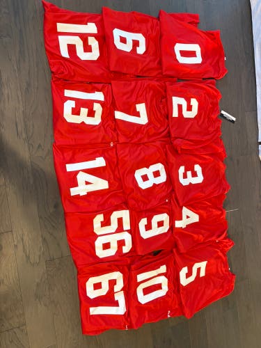 Team set of Adult jerseys 1 L & 14 XL