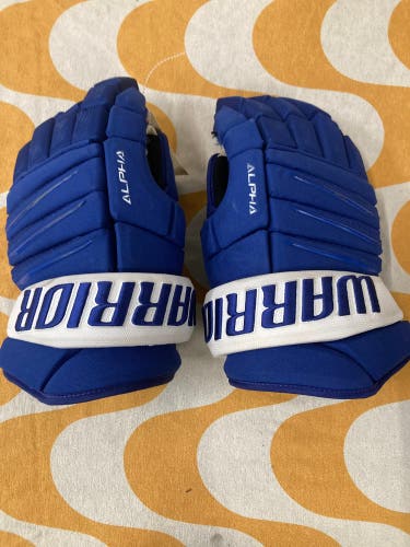 Blue Senior Warrior Alpha Gloves 15" (Used)