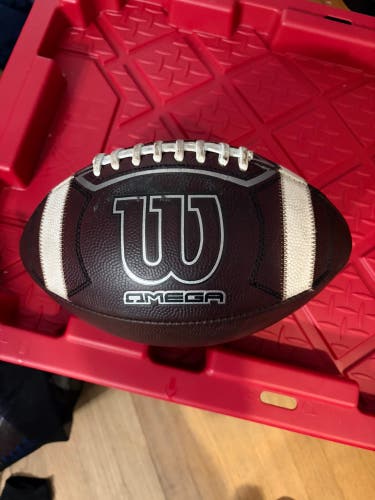 Adult Wilson Football (Used)