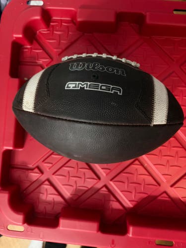Adult Wilson Football (Used)