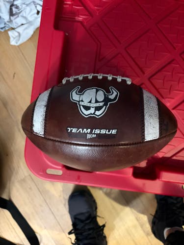 Adult Football (Used)
