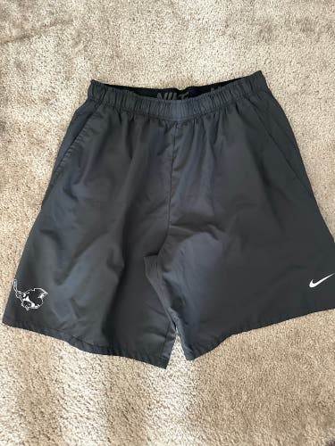 Gray XL Men's Nike Shorts (Used)