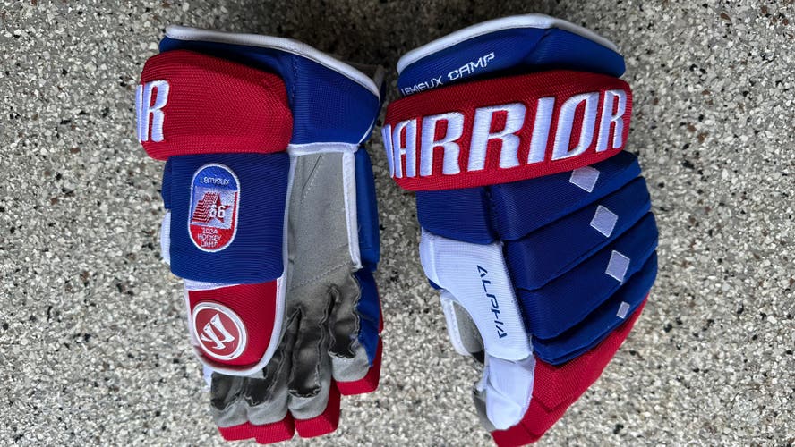 Warrior Alpha QX Pro Gloves 13"- Lemieux Camp