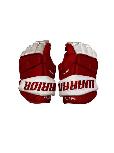Warrior Alpha Pro Gloves 13" (Used)
