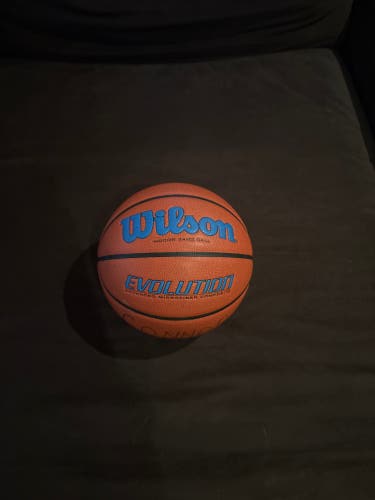 Men's Wilson Evolution Basketball Used