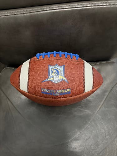 Game Ball Offical