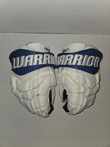 Tampa Bay Lightning Stadium Series Game-Issued Warrior QRL Pro Gloves 14" (new)
