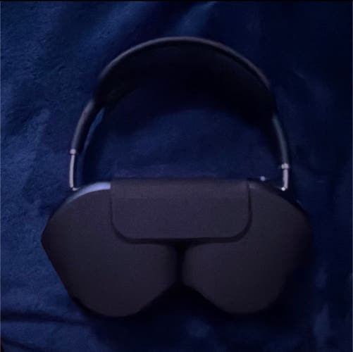 Apple Headphones (Used)