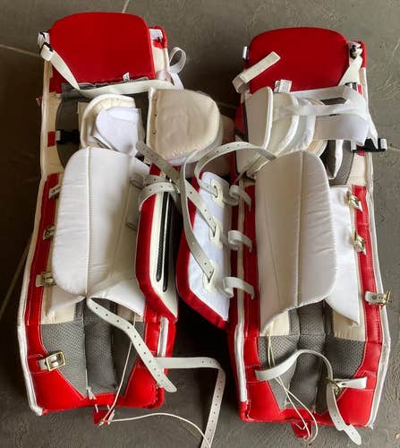 Brian's DX2 Goalie Full Set (37")