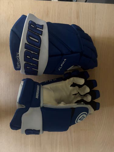 Warrior Alpha Team Gloves 14" (Used)