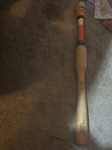 CamWood Trainer Training Bat other 31" (Used)