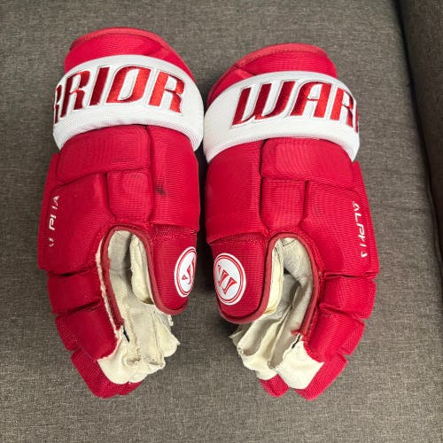 Warrior Alpha QX Pro Gloves 14" Pro Stock (Used)
