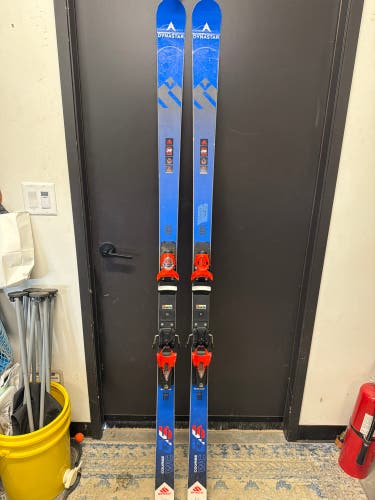 Dynastar GS 188 cm Racing Skis (Used)