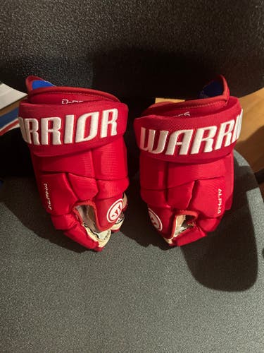 Dylan Larkin D Boss Warrior Pro Stock Gloves Red Wings(New)