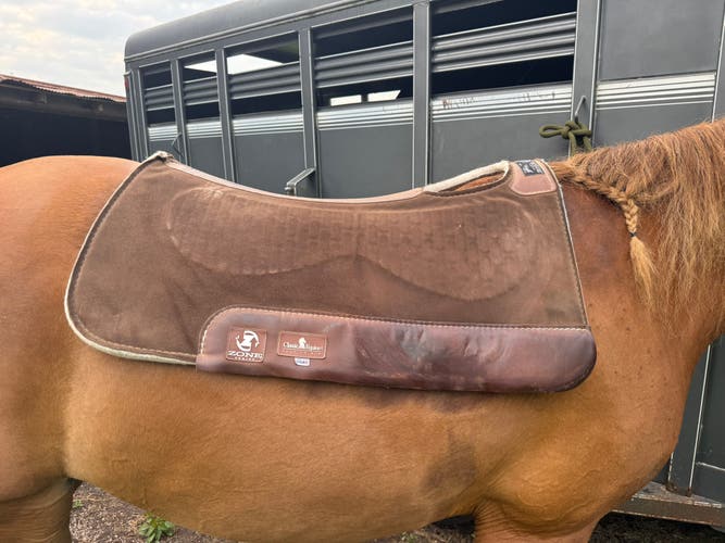 Classic Equine Zone Series Saddle Pad – 31x32