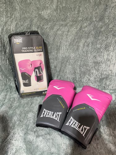 Everlast Gloves & Pads (Used)