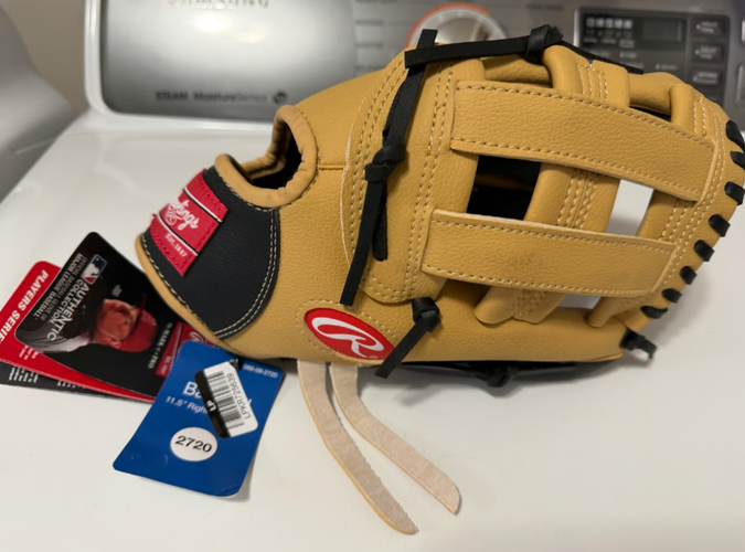 2025 Rawlings Catcher's Baseball Glove (Used)