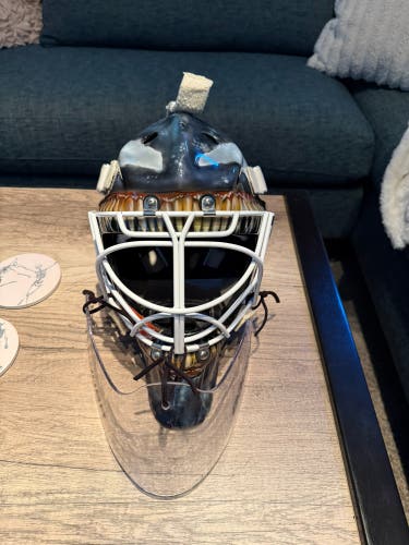 Sentry TS1 Pro RF “custom Venom” paint