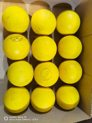 Lacrosse Ball 40 pack (Used)