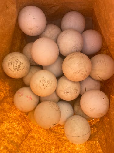 Lacrosse Ball 24 Pack (2 Dozen) (Used)
