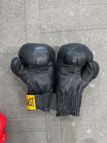 Used Everlast Boxing Gloves Black LG 11614-S000240954
