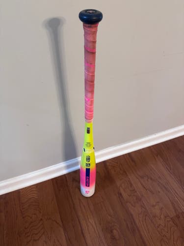Easton Dub Composite USSSA Certified Bat (-10) 20 oz 30" (Used)
