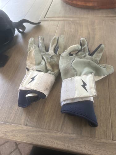 XL Batting Gloves (Used) Bruce bolts