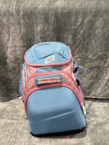 Blue Rawlings Bags & Batpacks Bat Bag (Used)