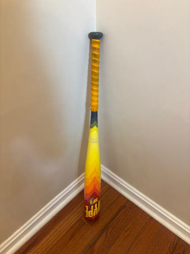 2024 Easton Hype Fire Composite USSSA Certified Bat (-10) 19 oz 29" (Used)