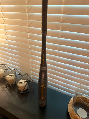 2019 Easton Ghost Composite Bat (-10) 18 oz 29" (Used)