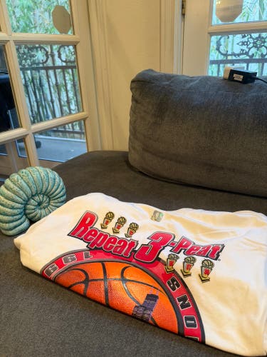 Men's (New) Chicago Bulls repeat threepeat championship t-shirt