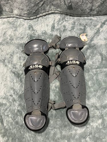 Gray Youth All Star Catcher's Leg Guard (Used)