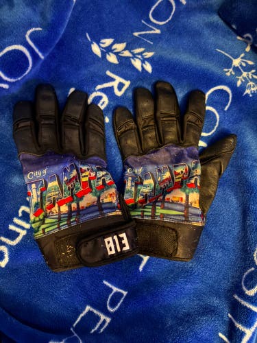 Medium Batting Gloves (Used)