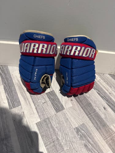 Warrior Alpha Pro Gloves 14" (Used)