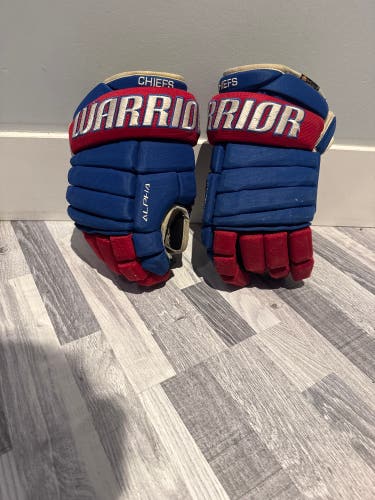 Warrior Alpha Pro Gloves 14" (Used)