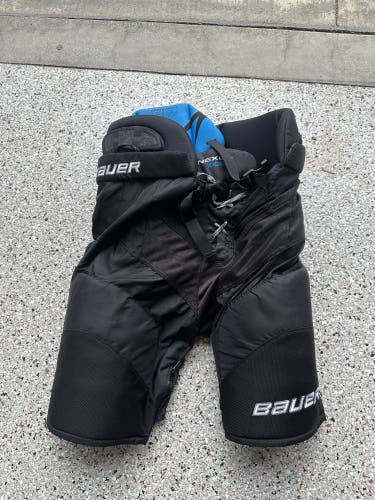 Senior Medium Bauer Nexus 1000 Hockey Pants (Used)