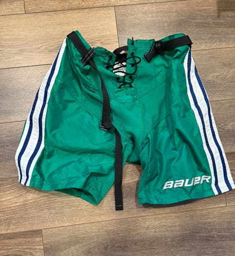 Custom Hartford Whalers Bauer Nexus Pant Shell