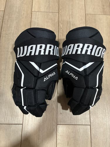 Warrior Alpha LX2 Max Gloves 14" (Used)